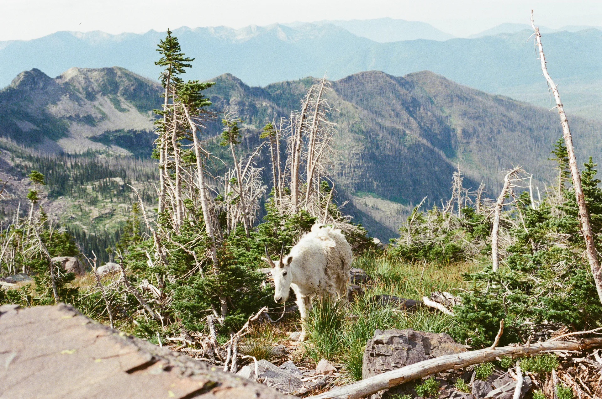 Photograph at Glacier National Park