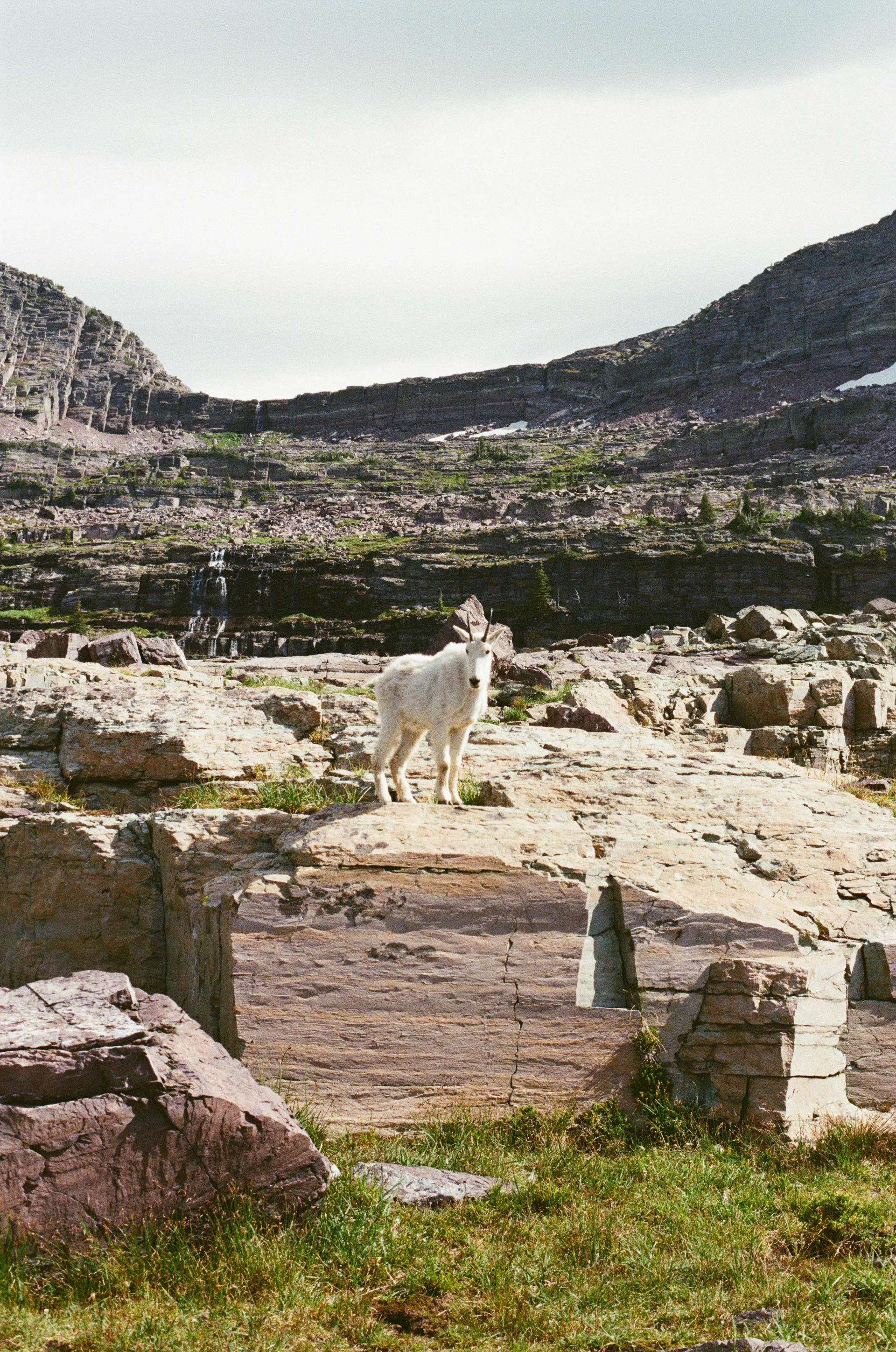 Photograph at Glacier National Park