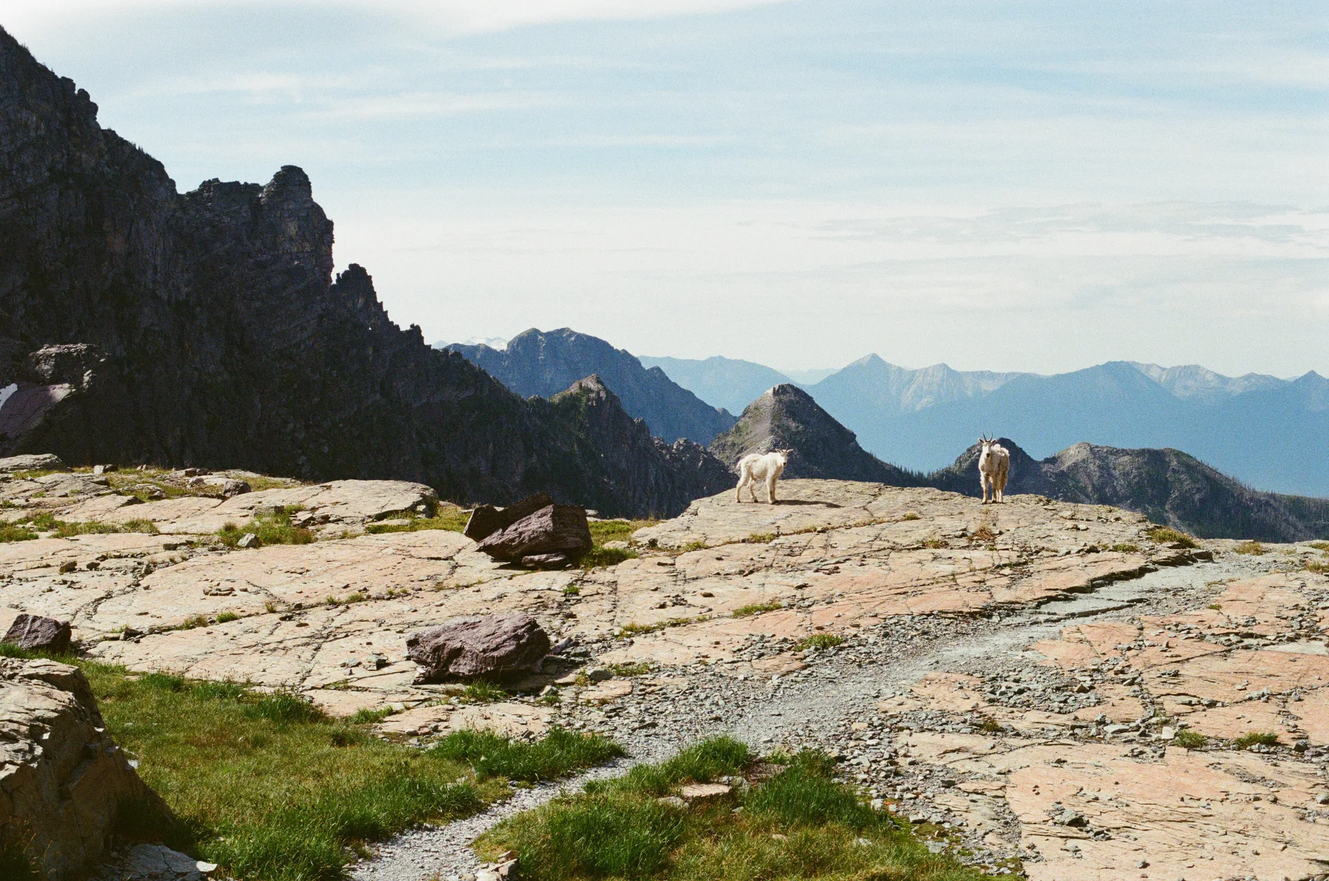 Photograph at Glacier National Park