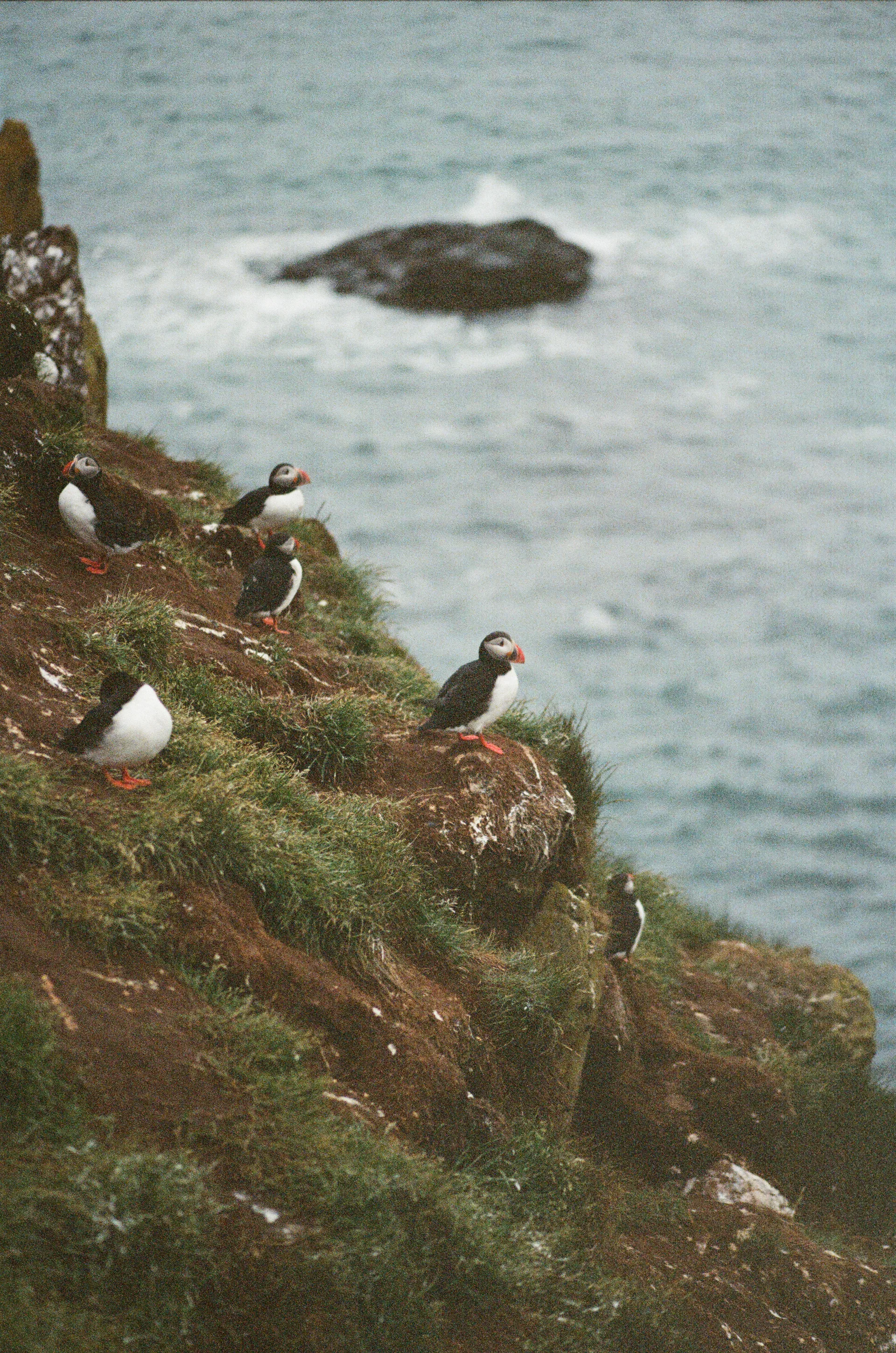 Photograph at Iceland