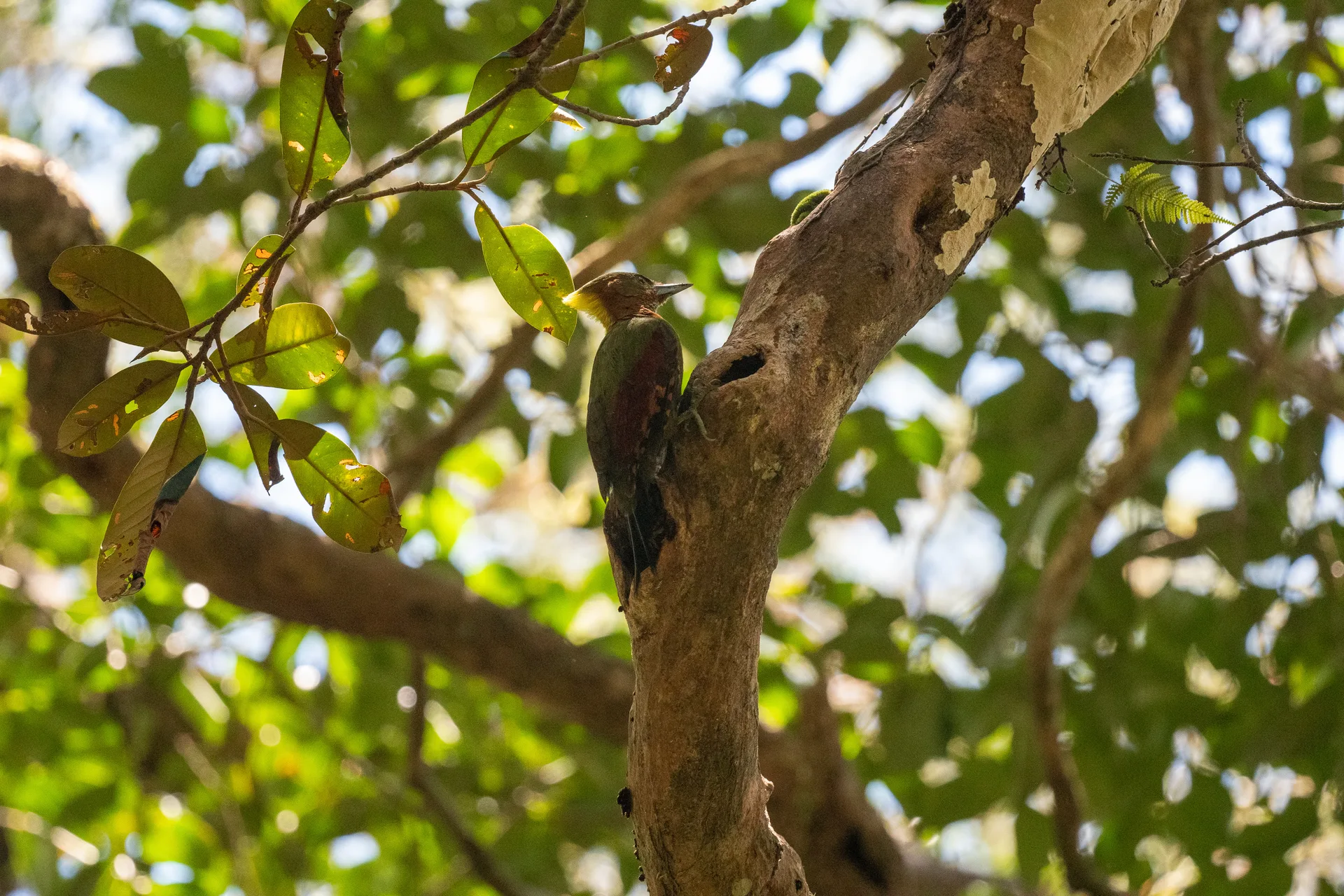 Photograph at Singapore