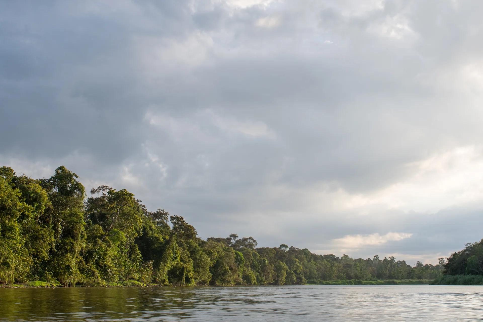 Photograph at Borneo