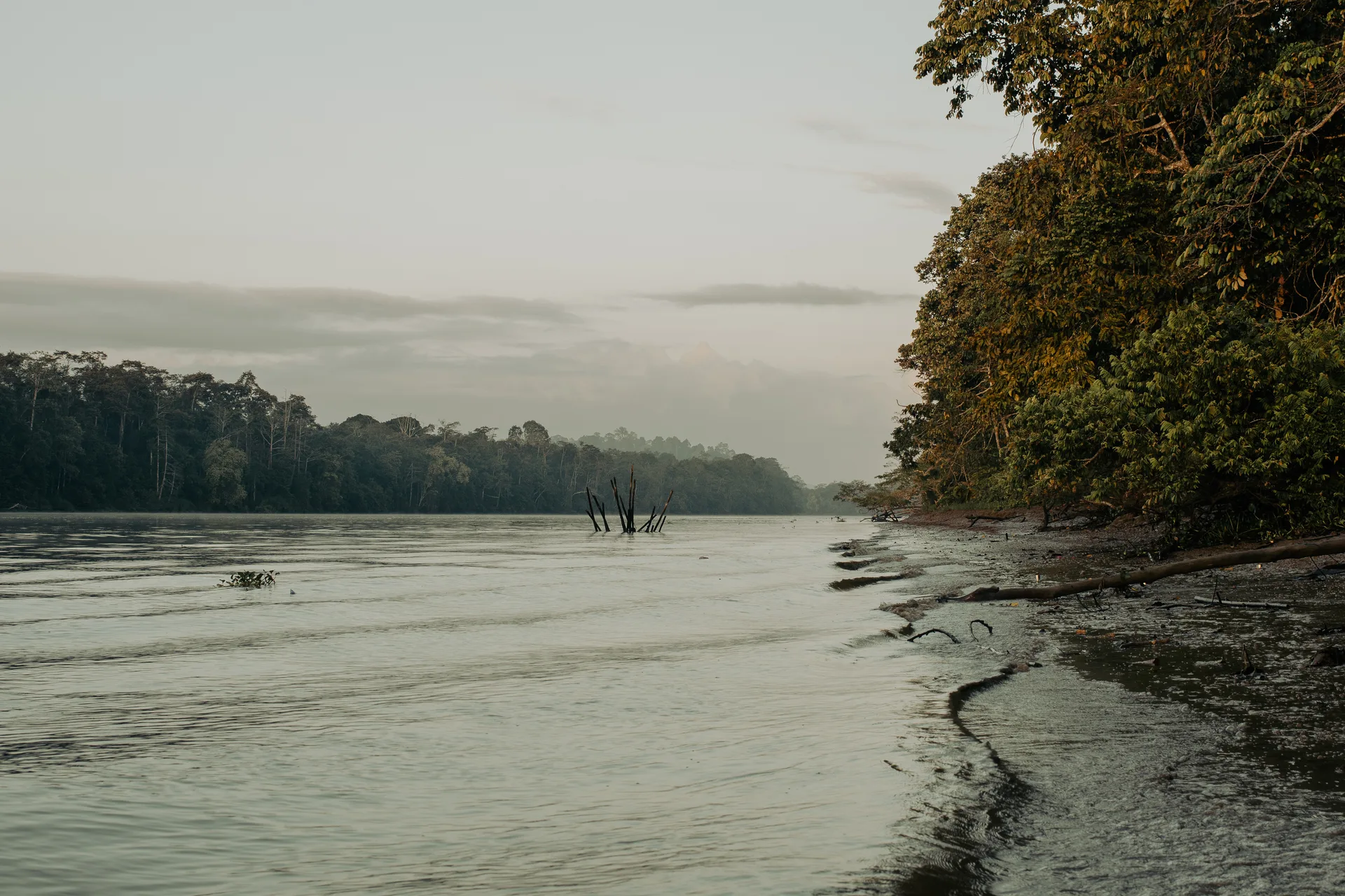 Photograph at Borneo