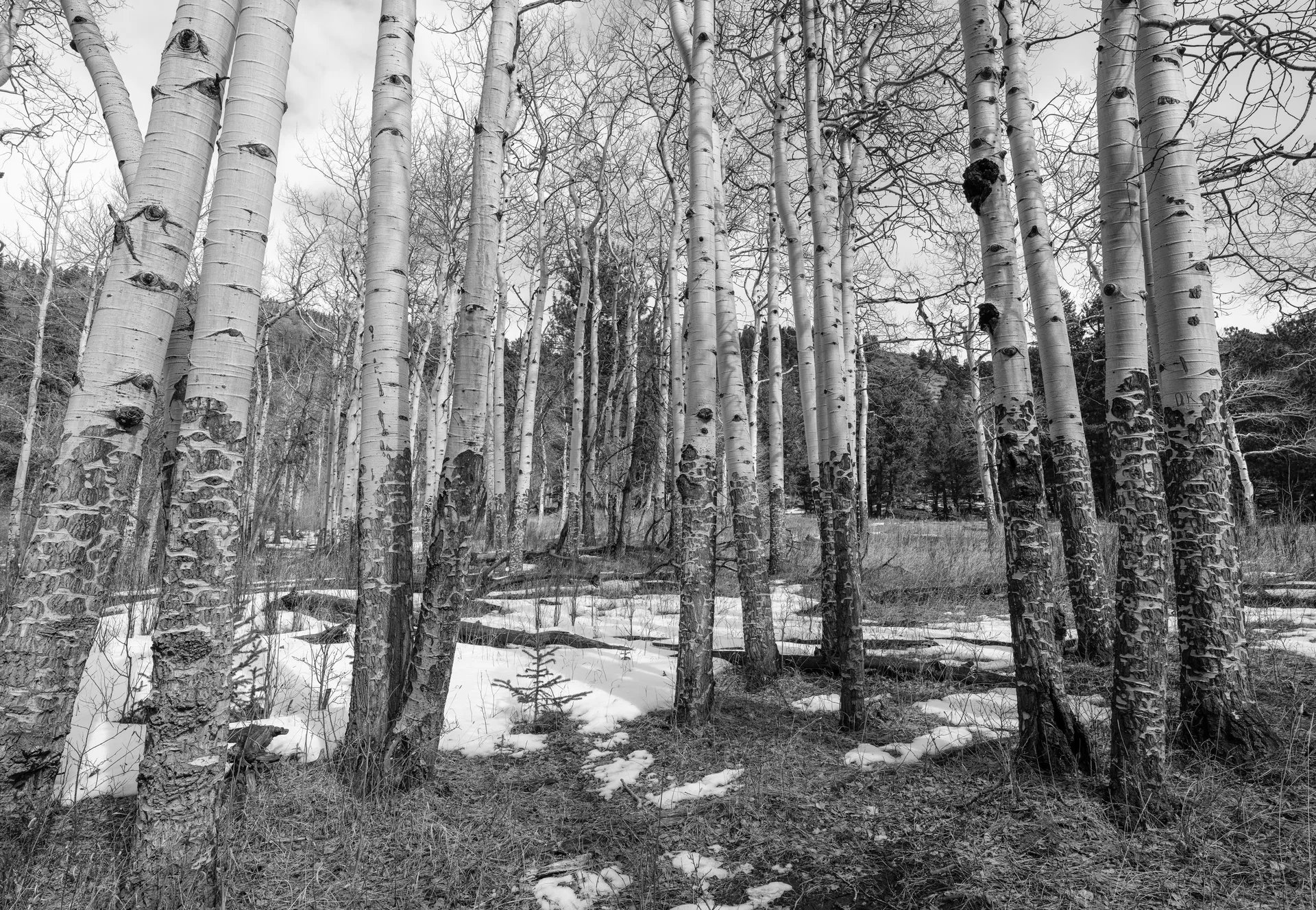 Photograph at Rocky Mountain