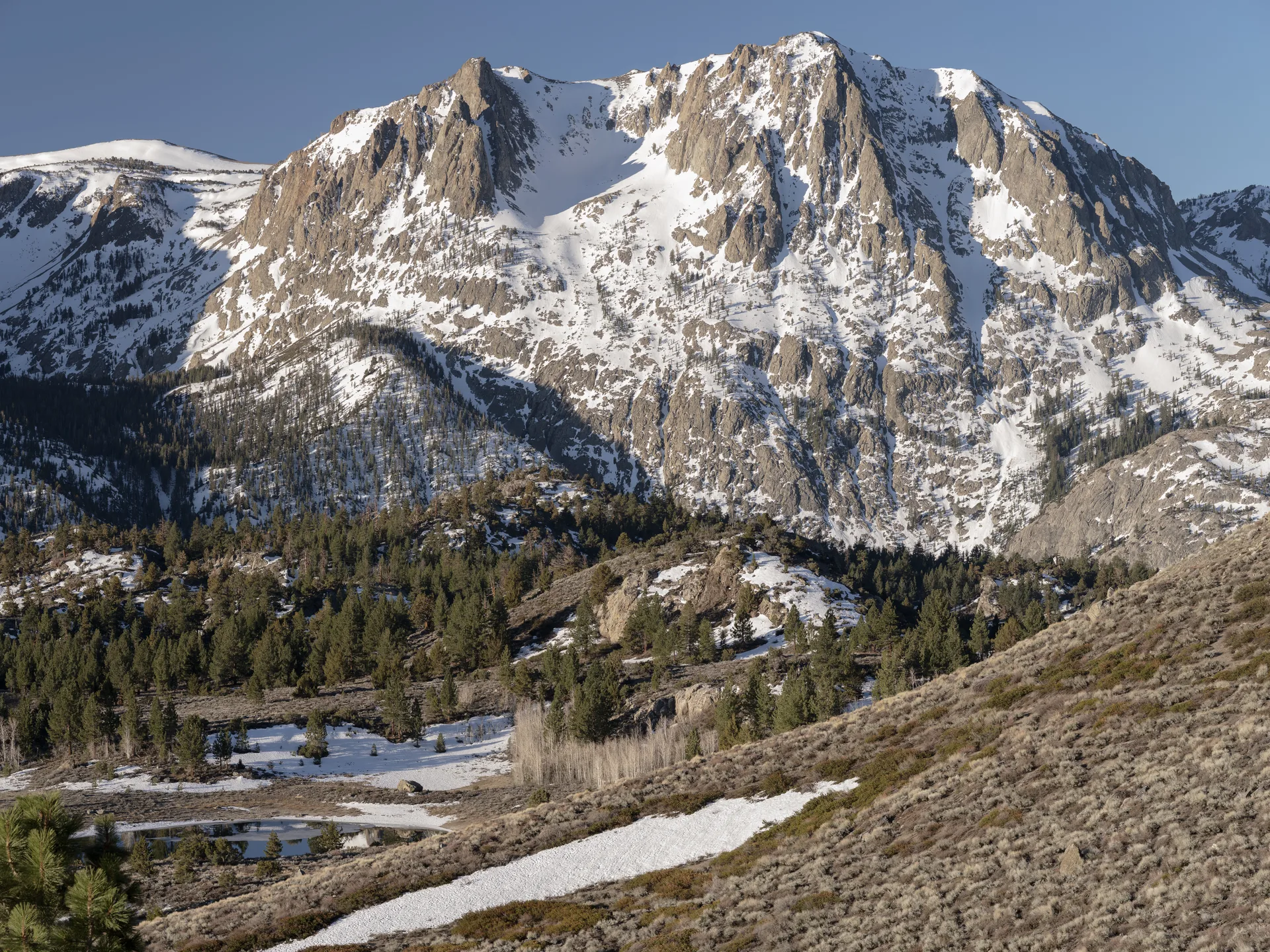Photograph at June Lake