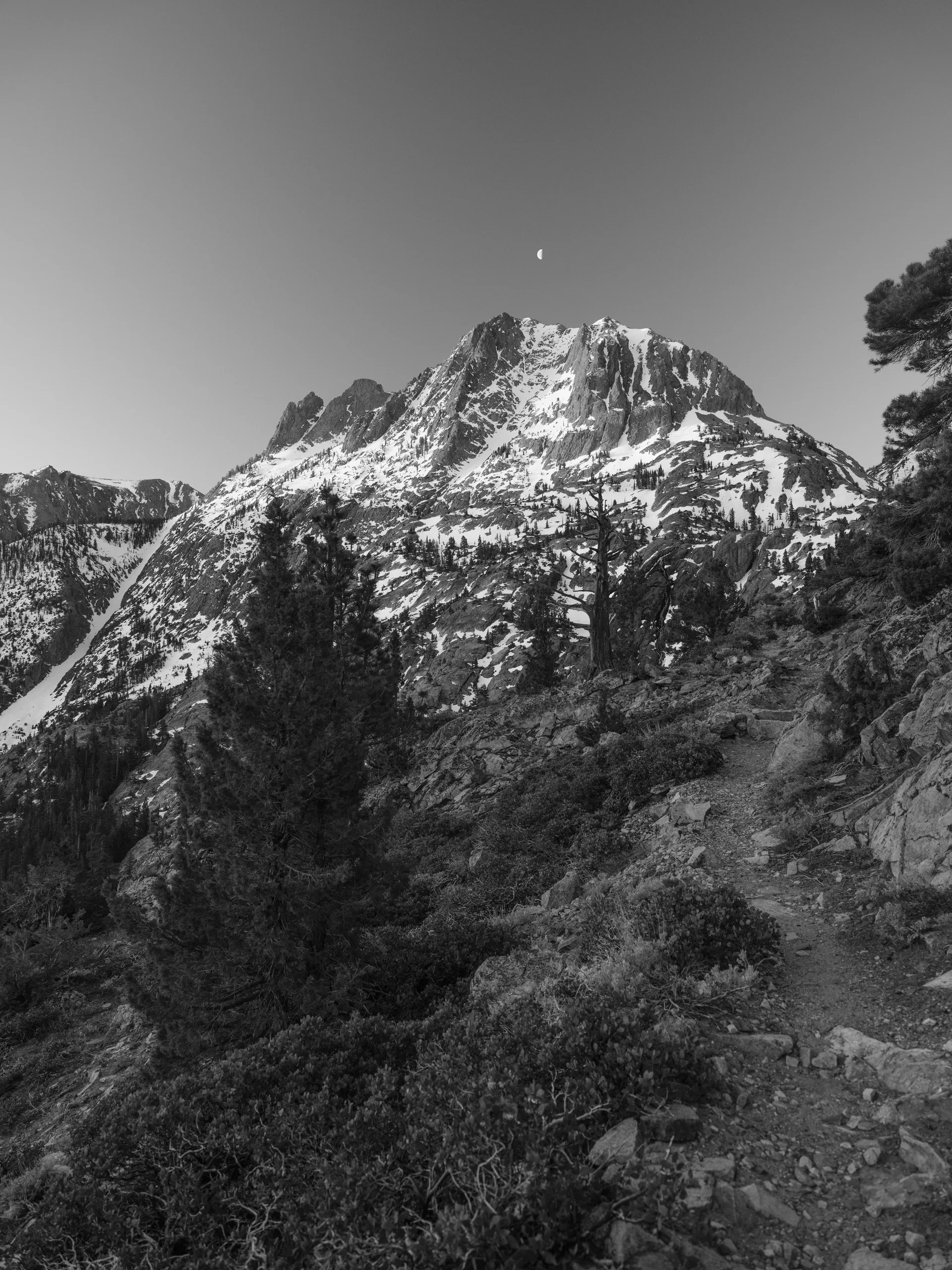 Photograph at June Lake