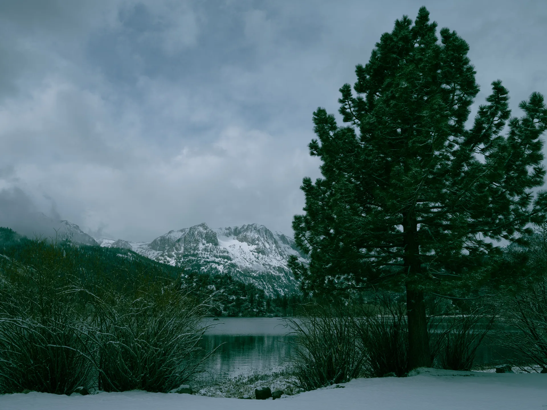 Photograph at June Lake