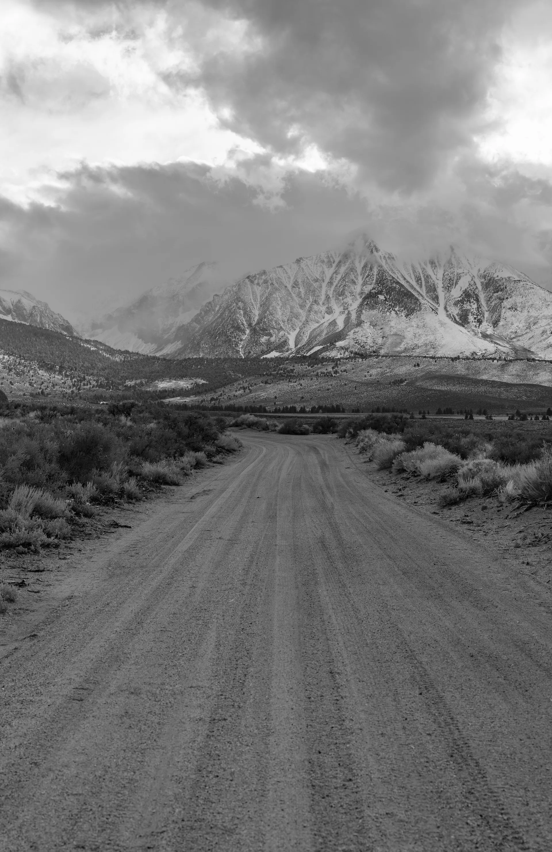 Photograph at June Lake