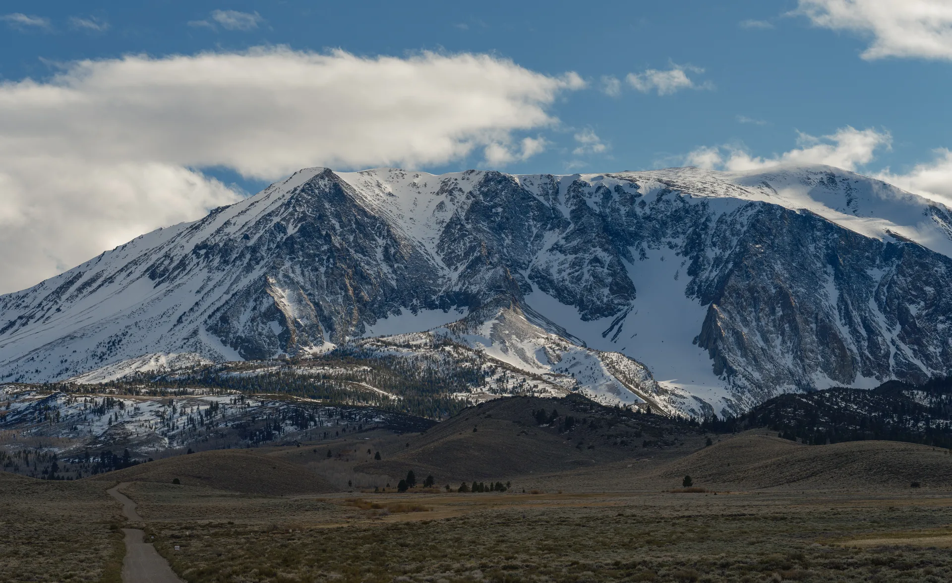 Photograph at June Lake
