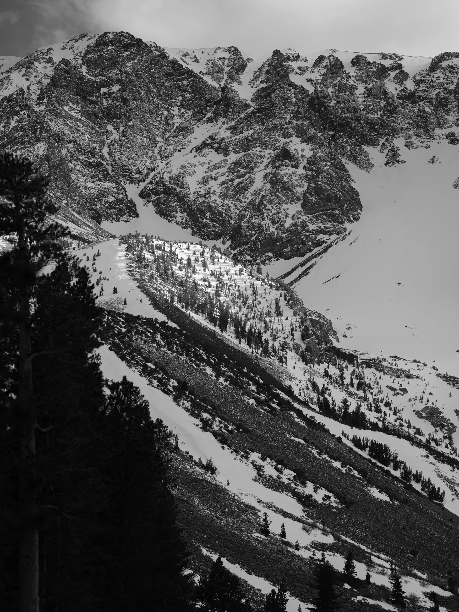 Photograph at June Lake