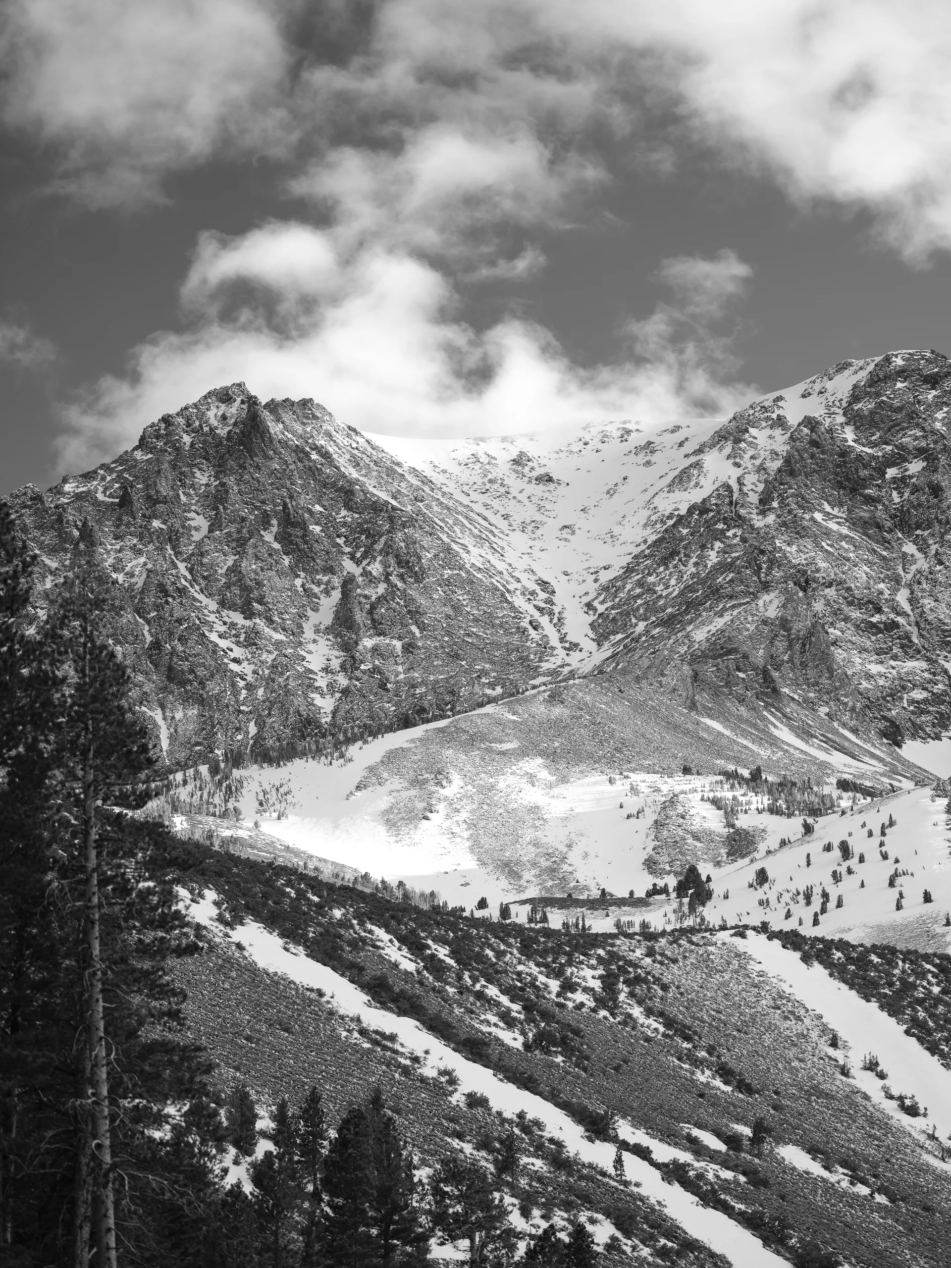 Photograph at June Lake