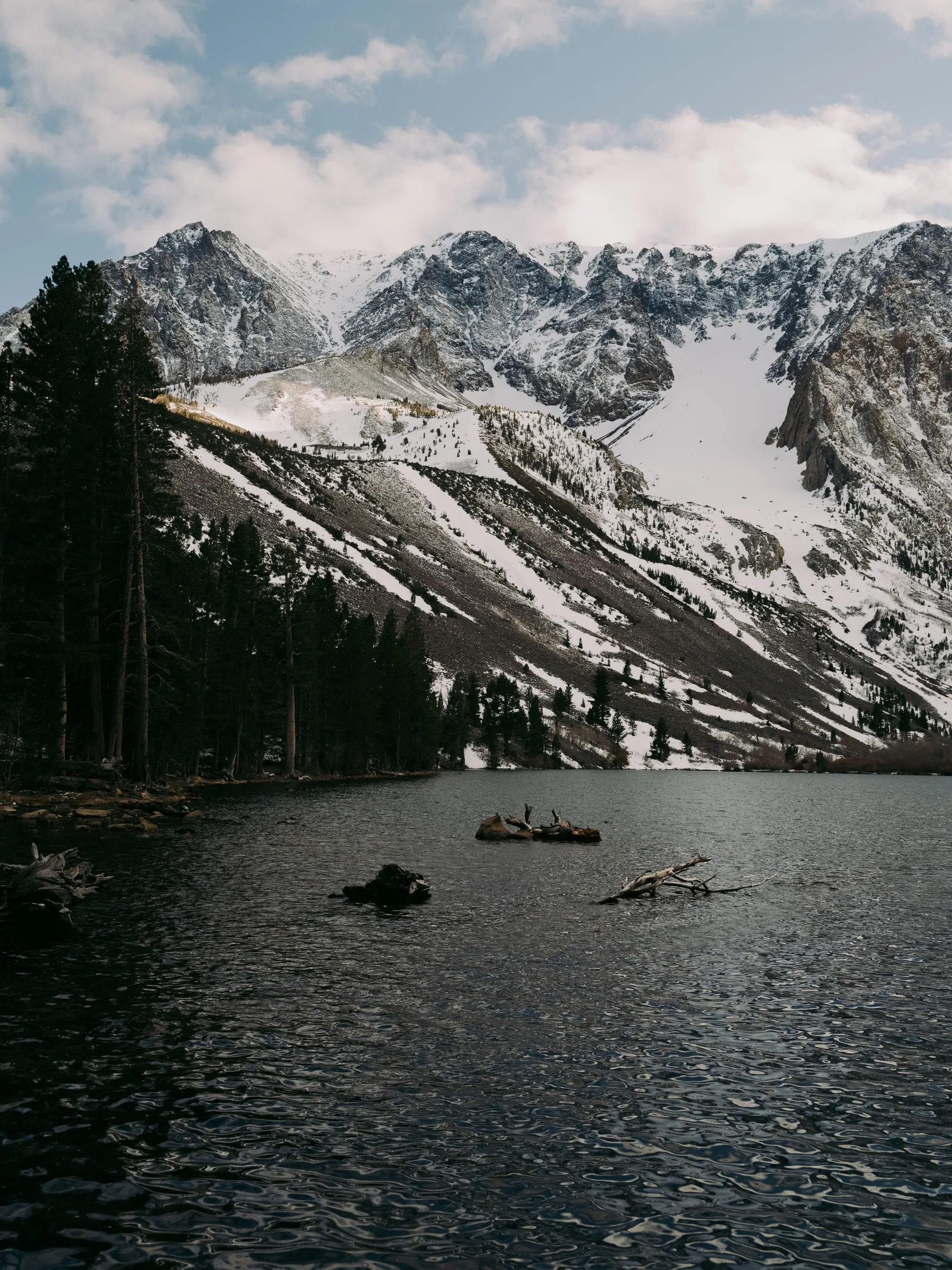 Photograph at June Lake