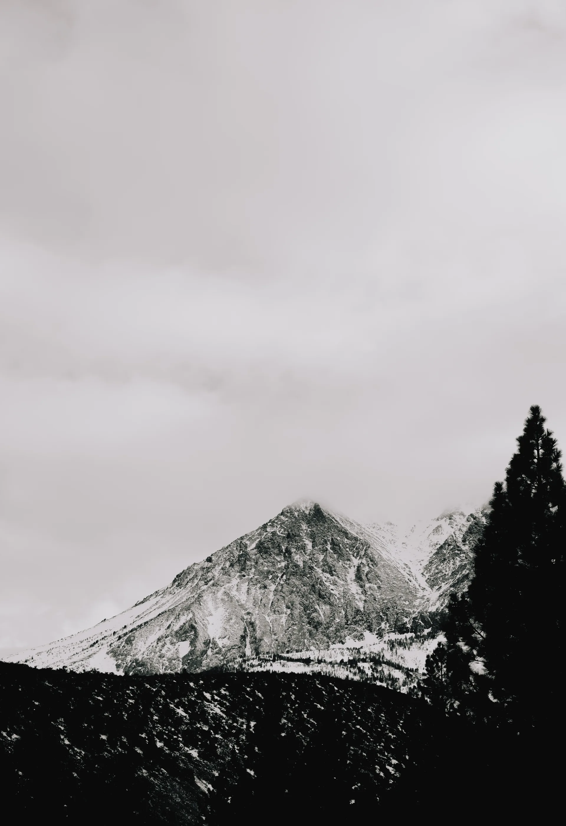 Photograph at June Lake
