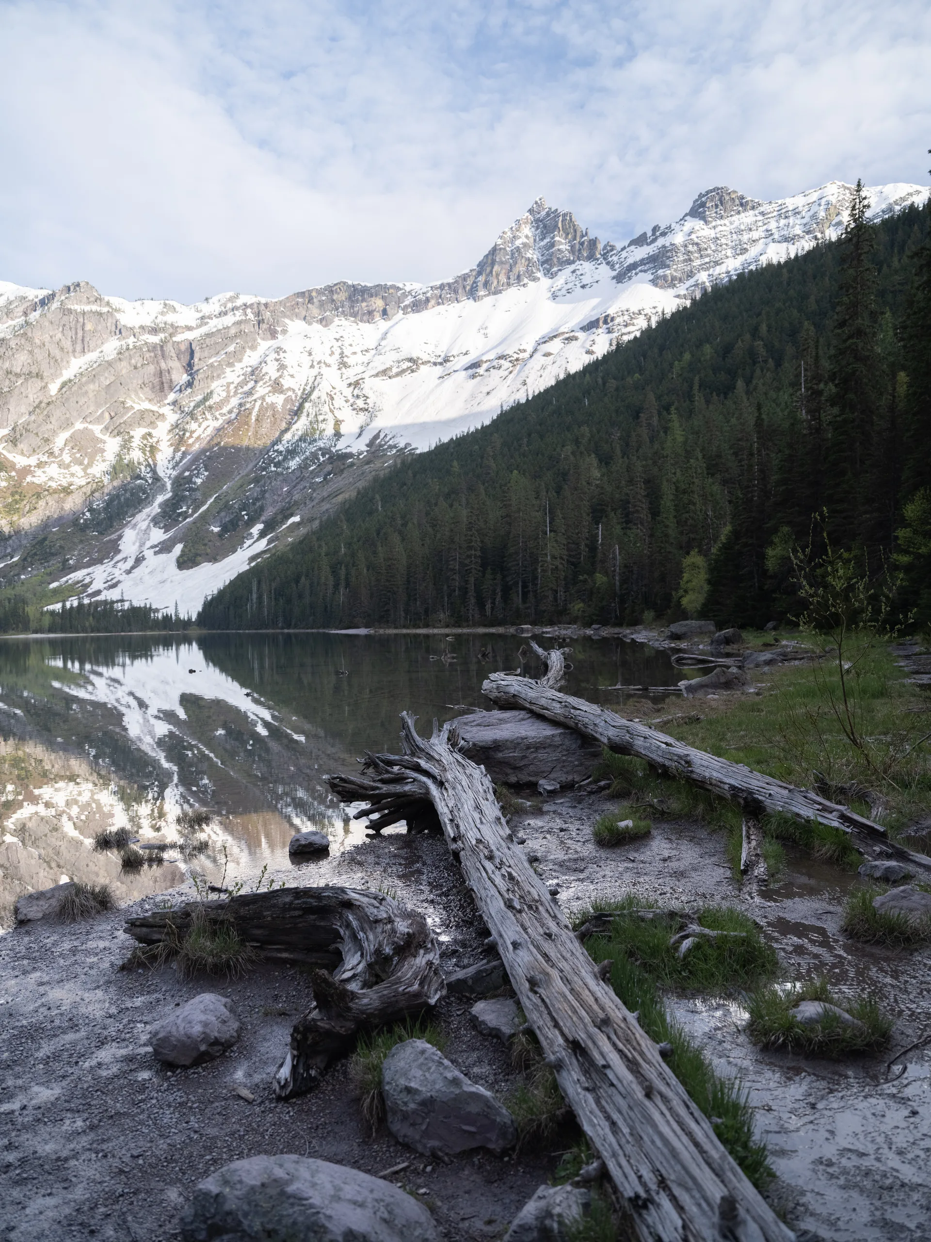 Photograph at Montana
