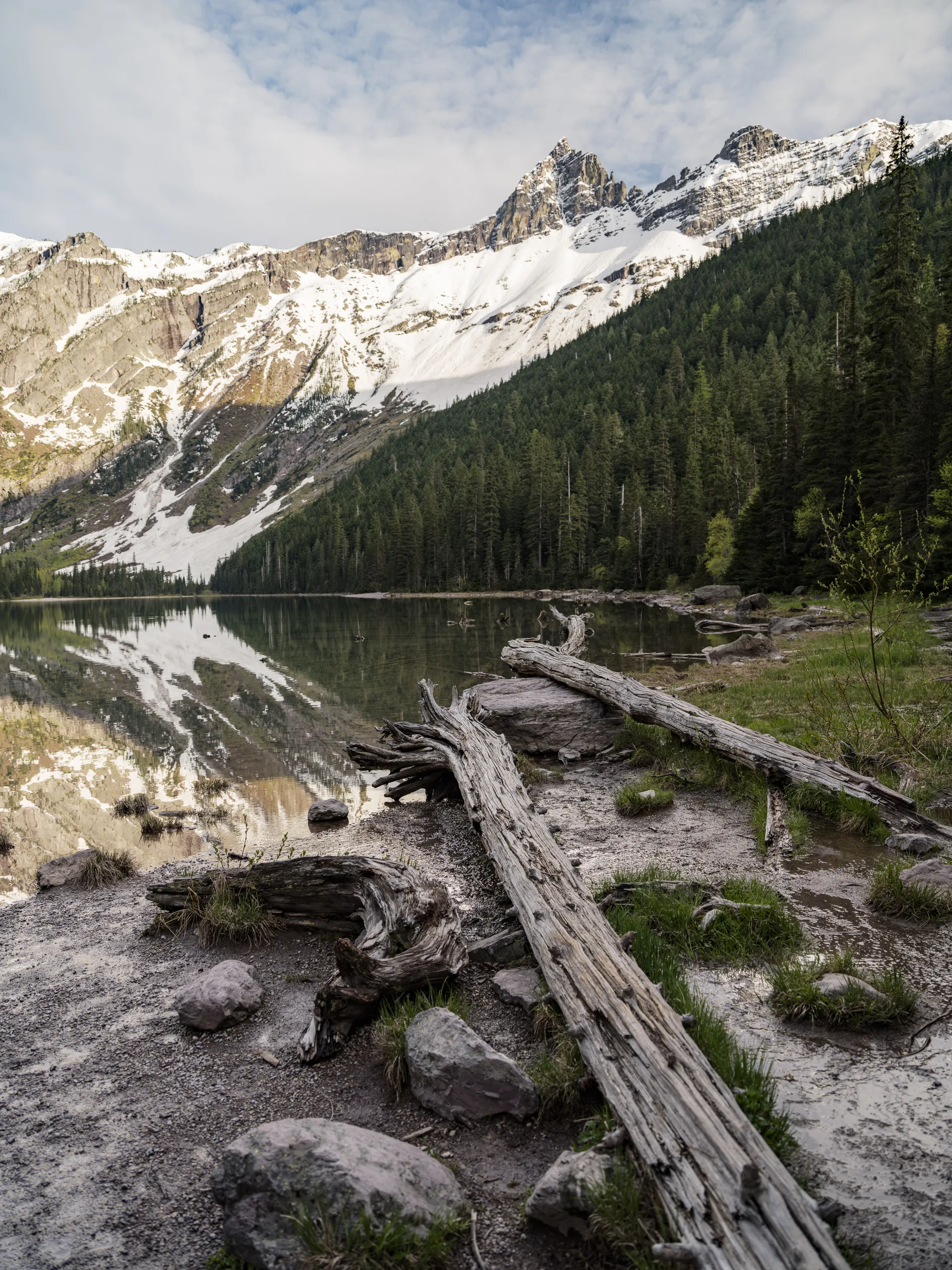 Photograph at Montana
