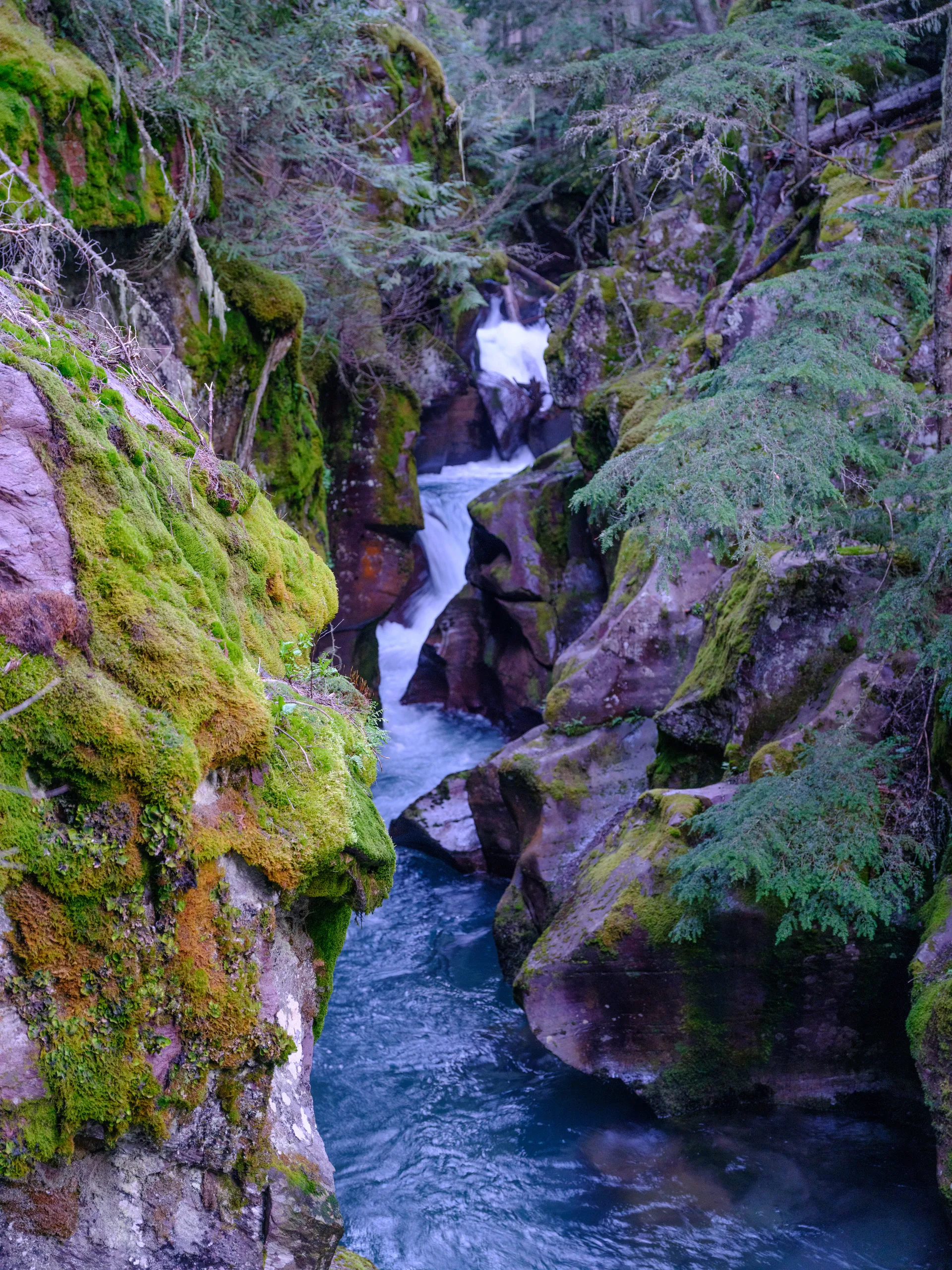 Photograph at Montana