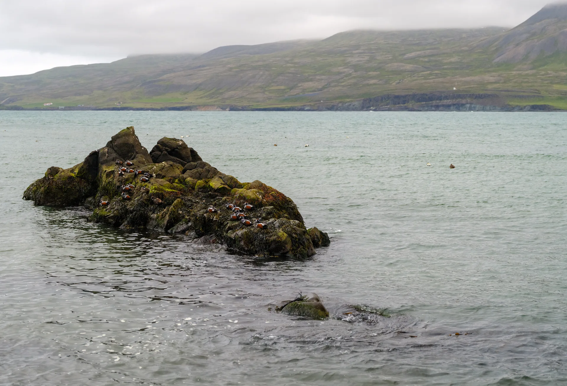 Photograph at Iceland