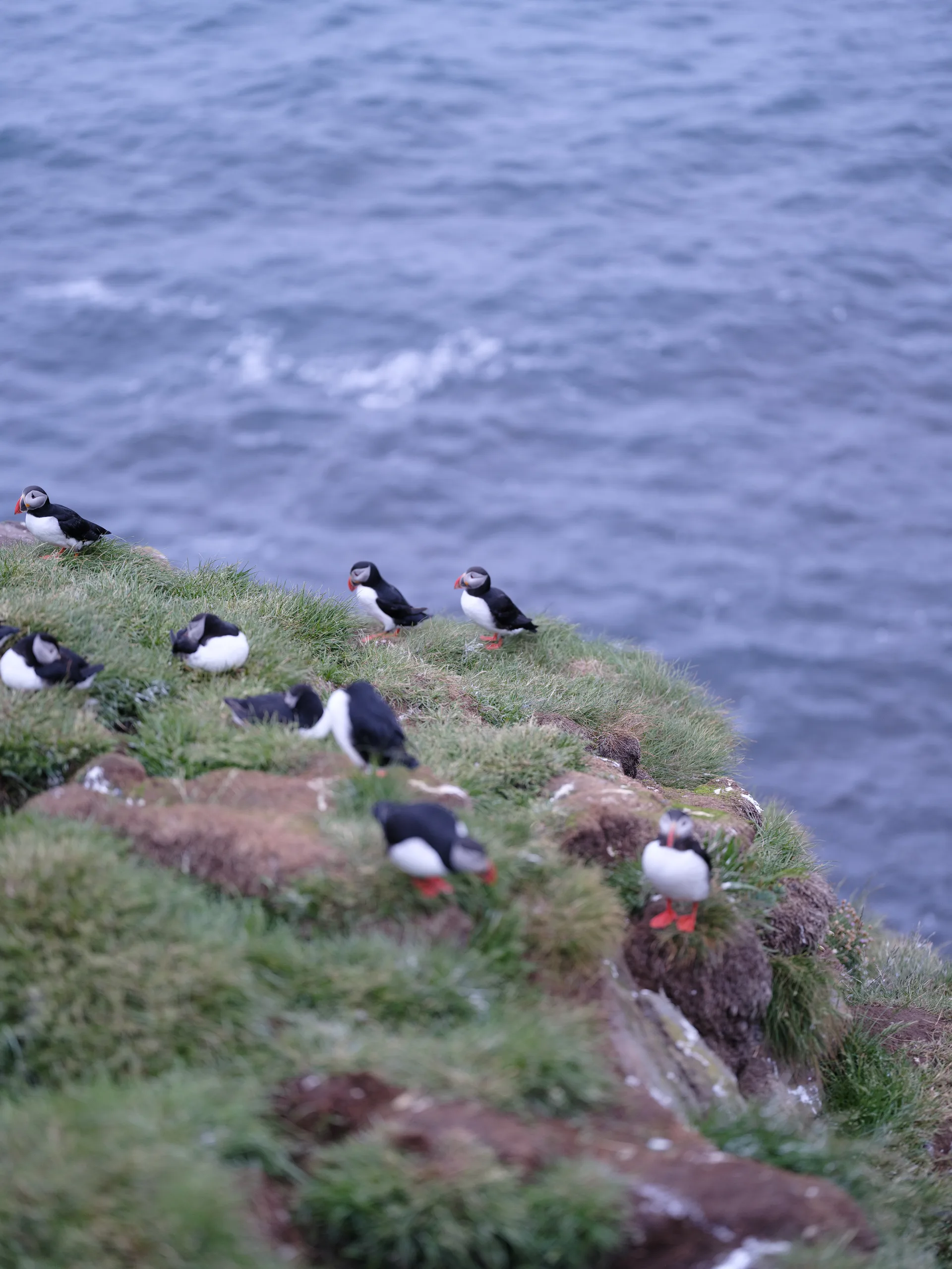 Photograph at Iceland