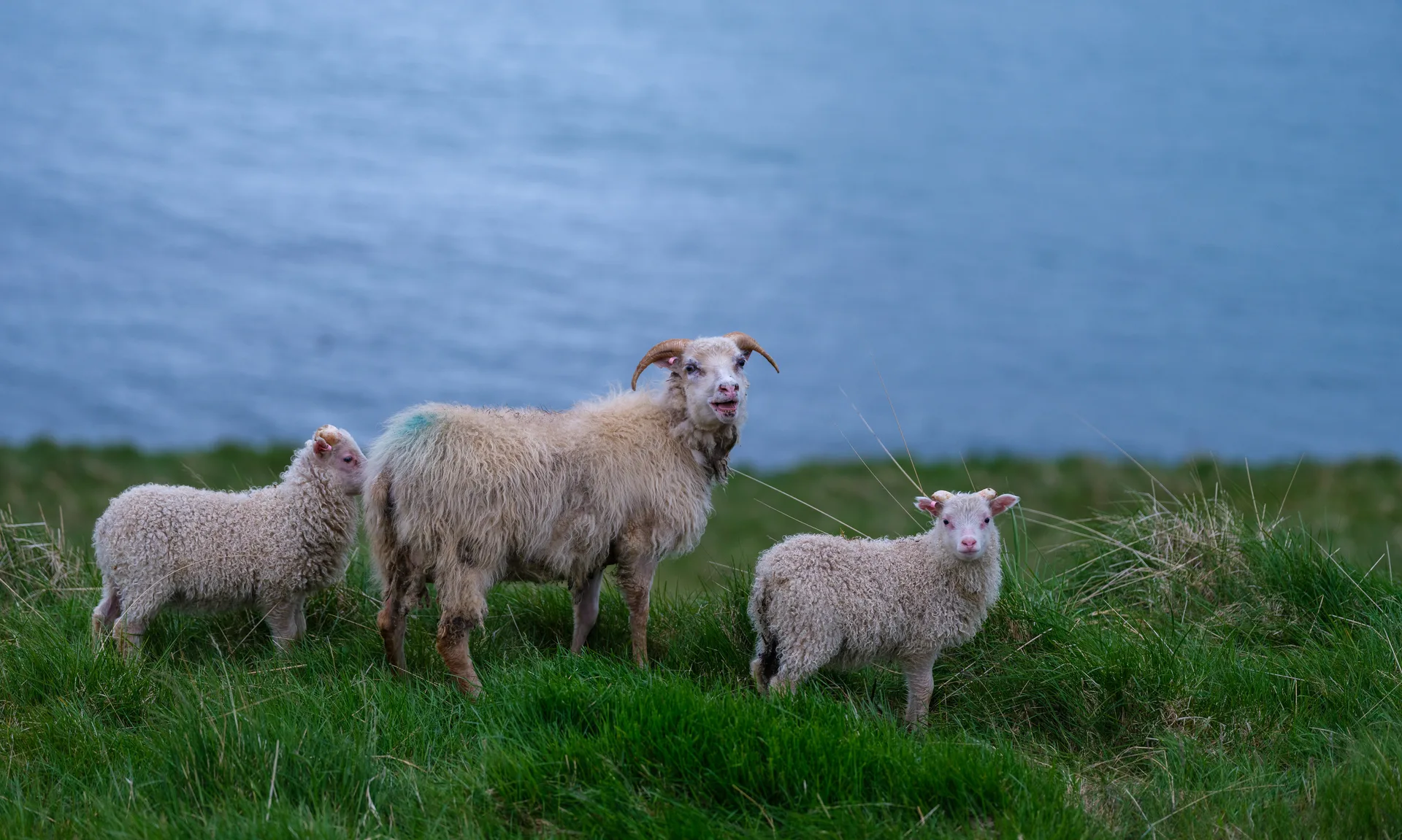 Photograph at Iceland