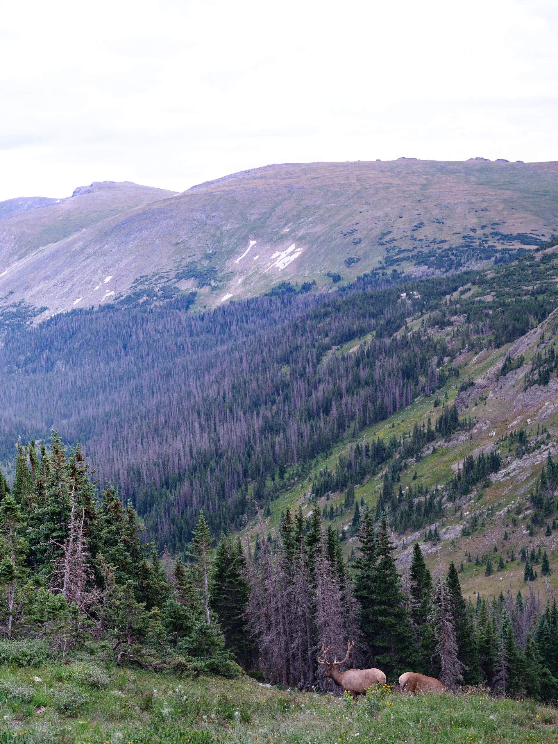 Photograph at Rocky Mountain