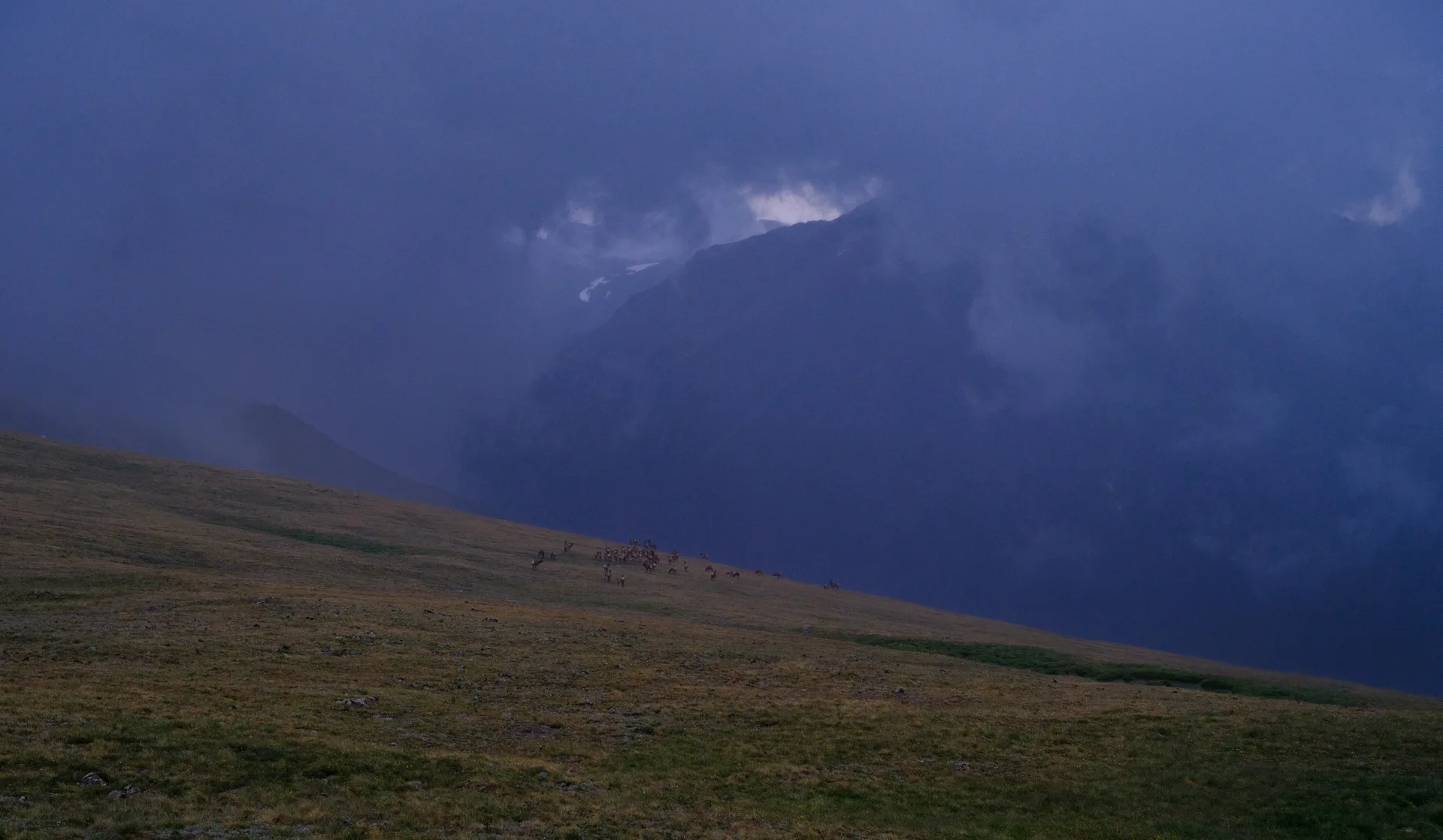 Photograph at Rocky Mountain