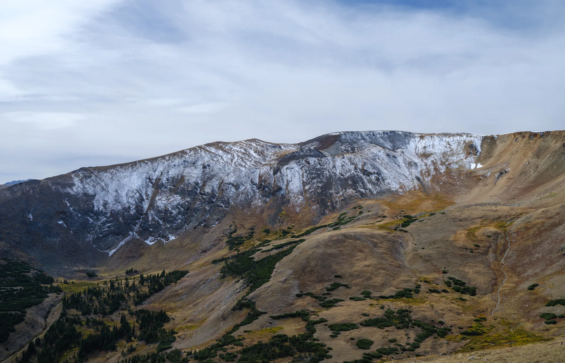 Trail Ridge from Old Fall River Road