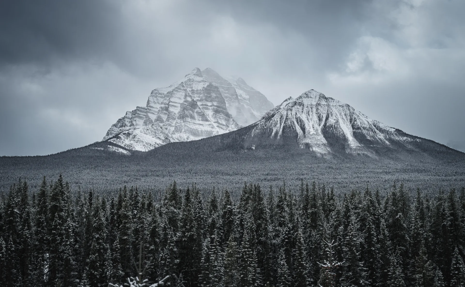 Photograph at Jasper