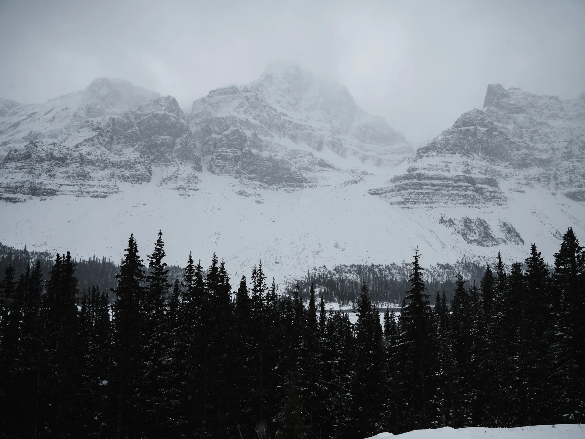 Photograph at Jasper