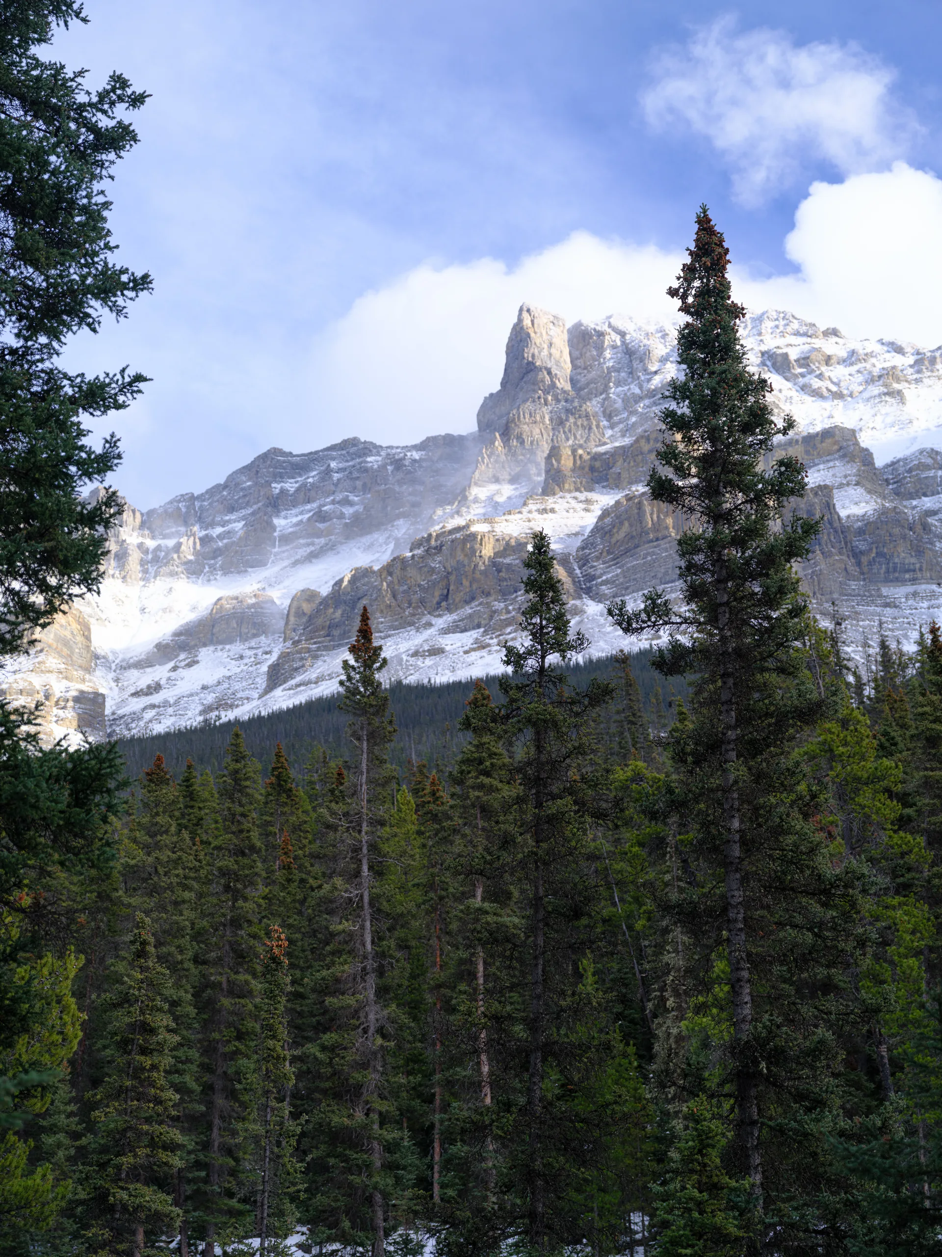 Photograph at Jasper