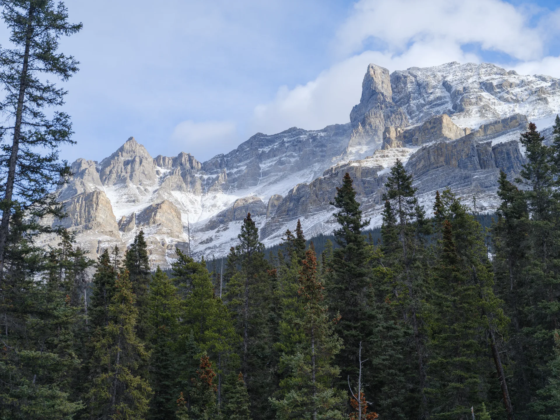 Photograph at Jasper