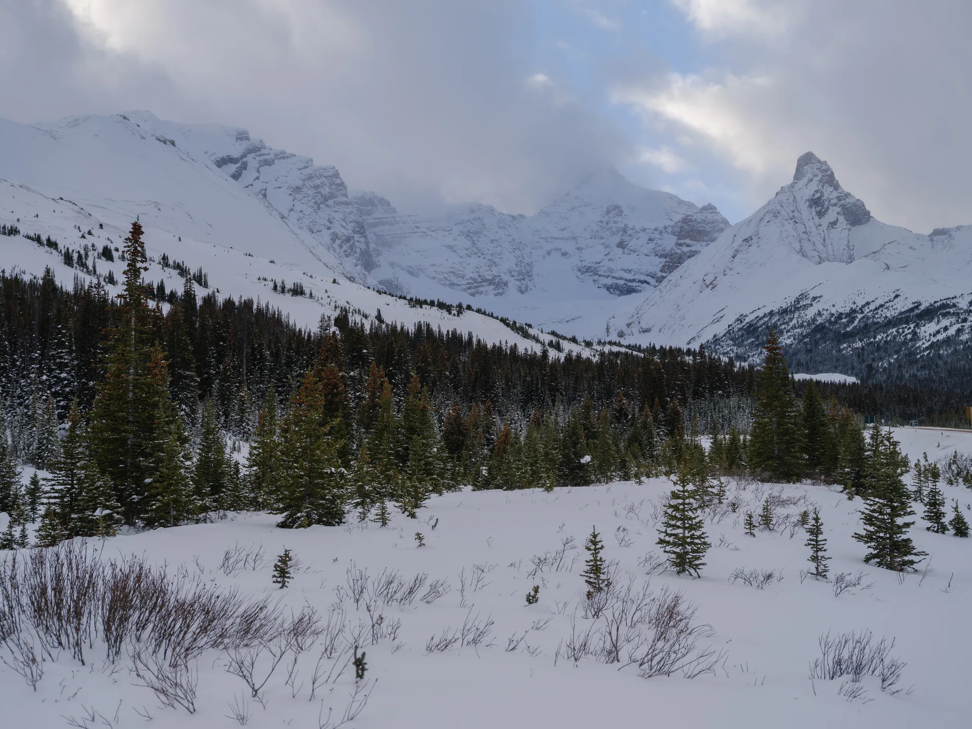 Photograph at Jasper
