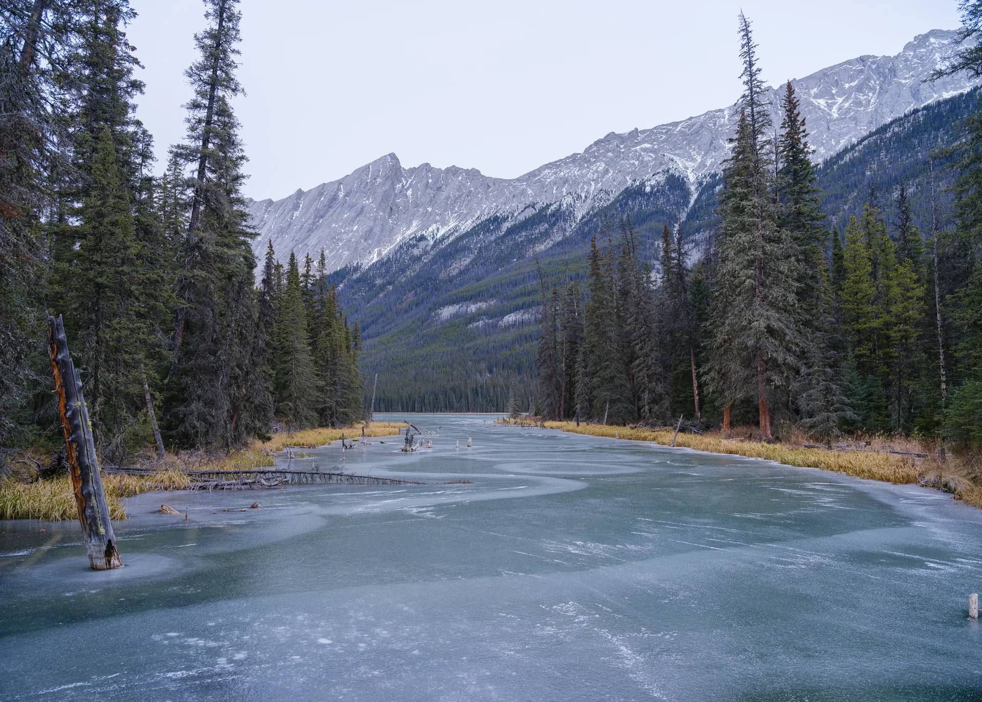 Photograph at Jasper