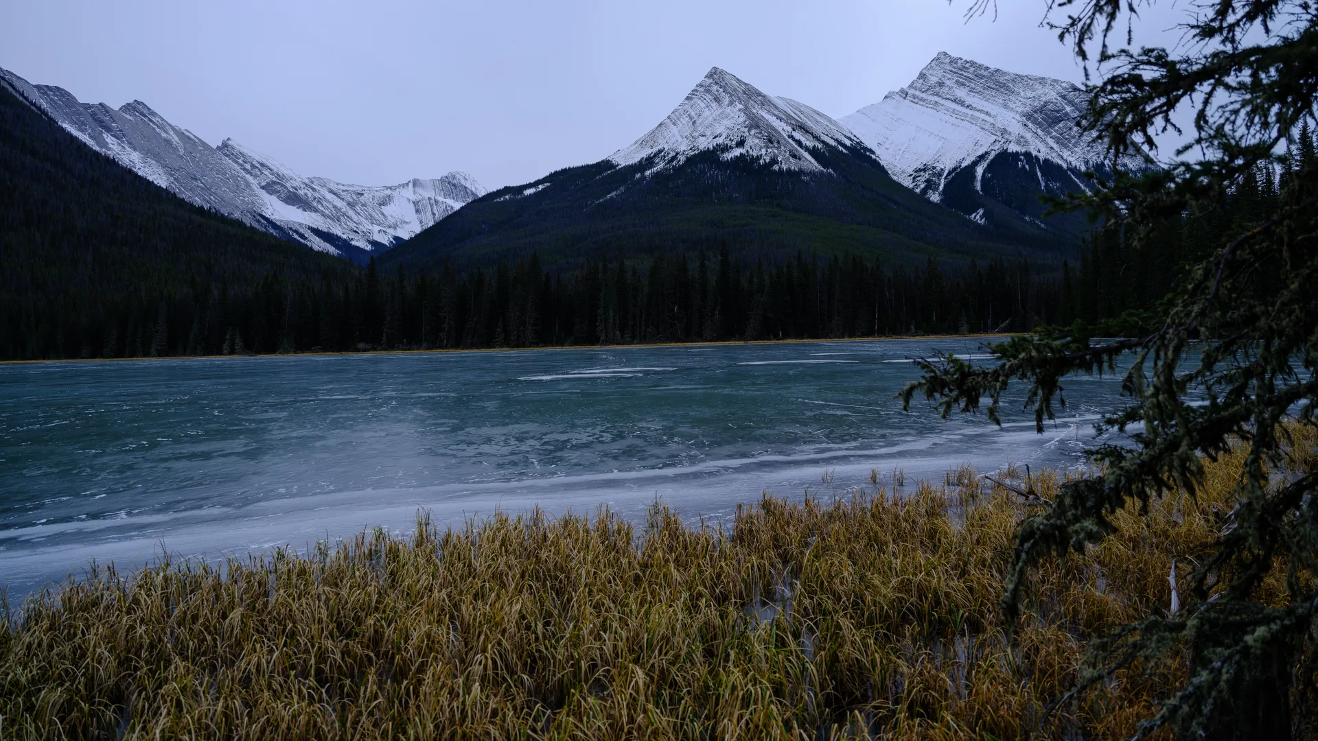 Photograph at Jasper