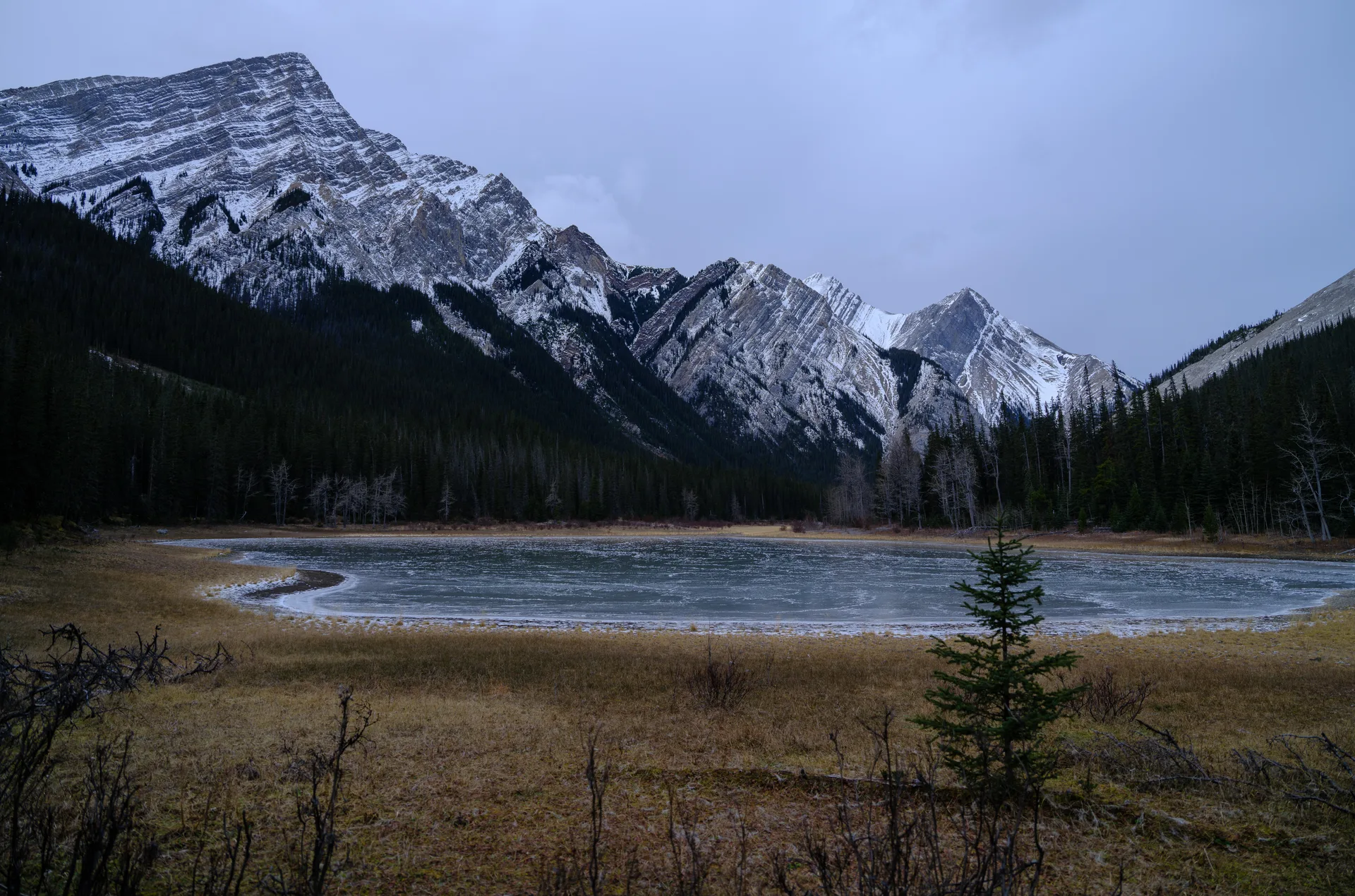 Photograph at Jasper
