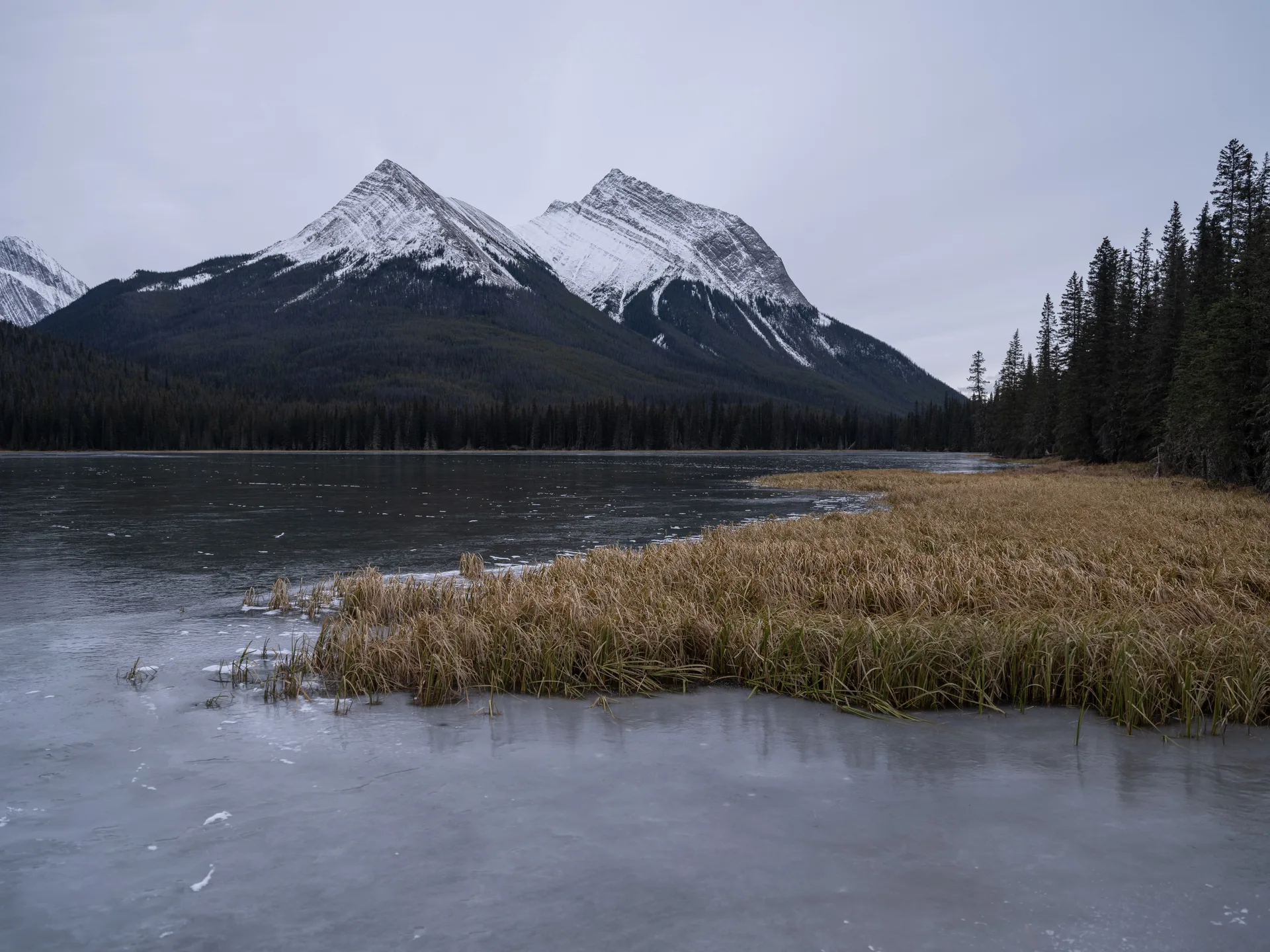 Photograph at Jasper