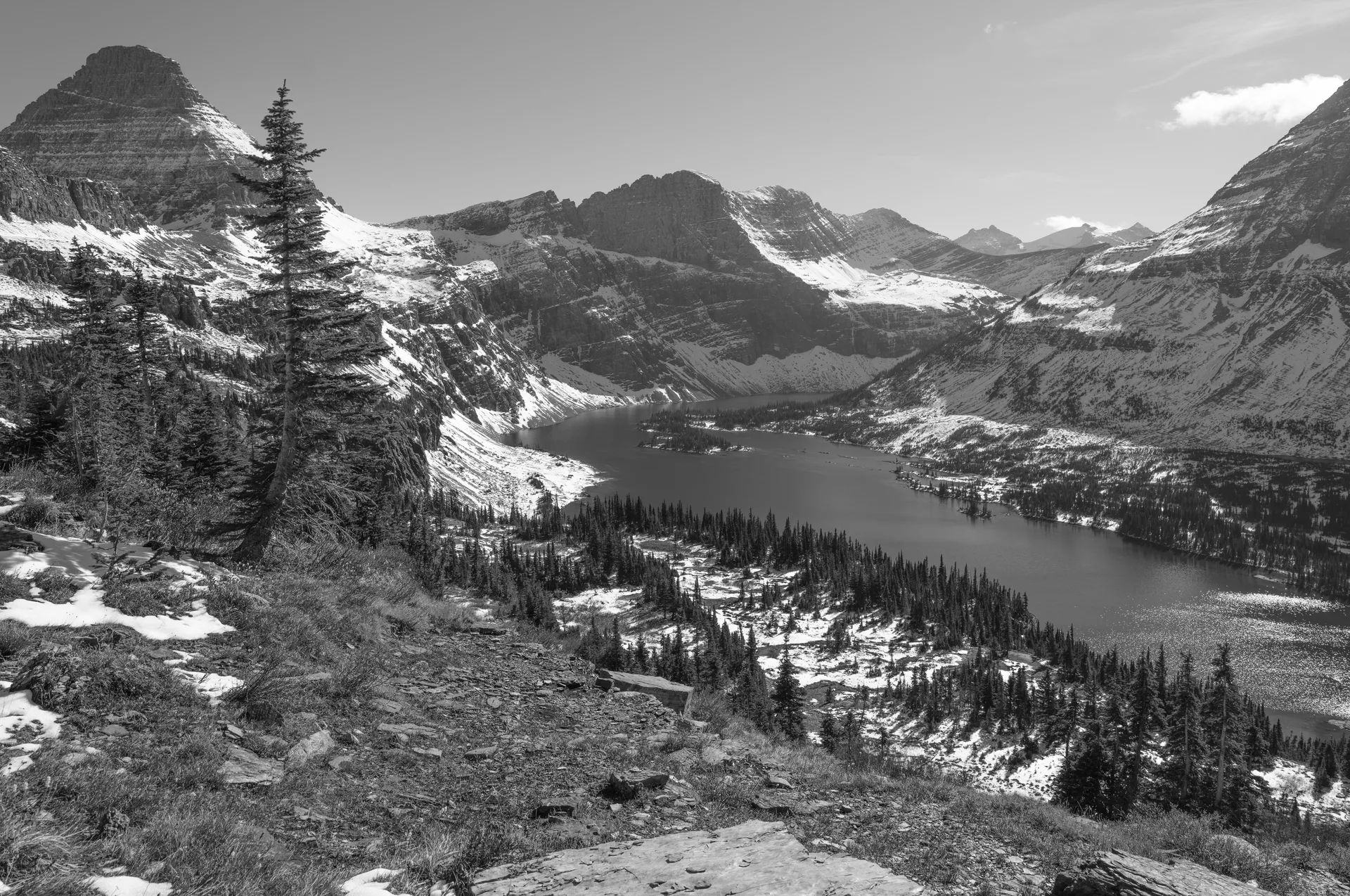 Photograph at Logan Pass