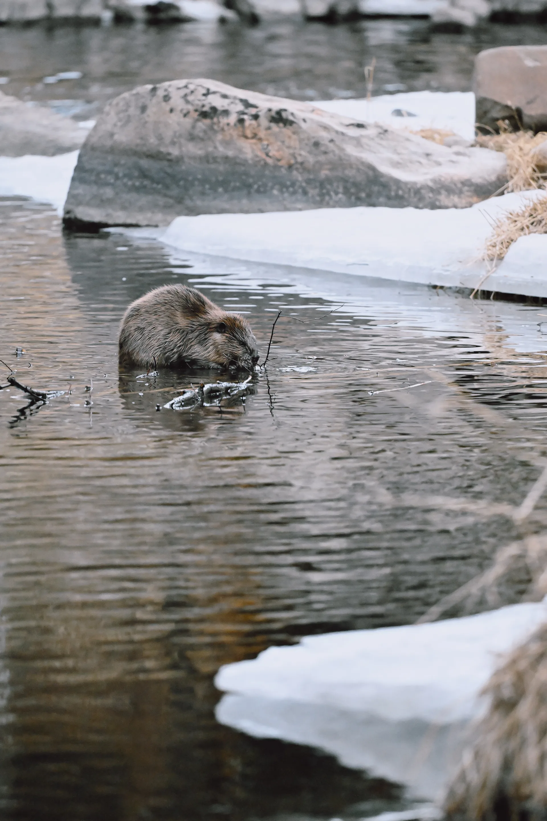 Photograph at Colorado
