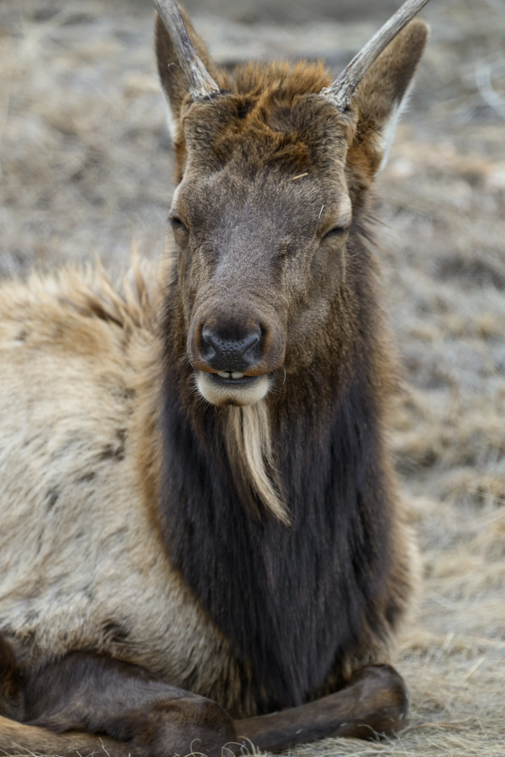 Photograph at Rocky Mountain