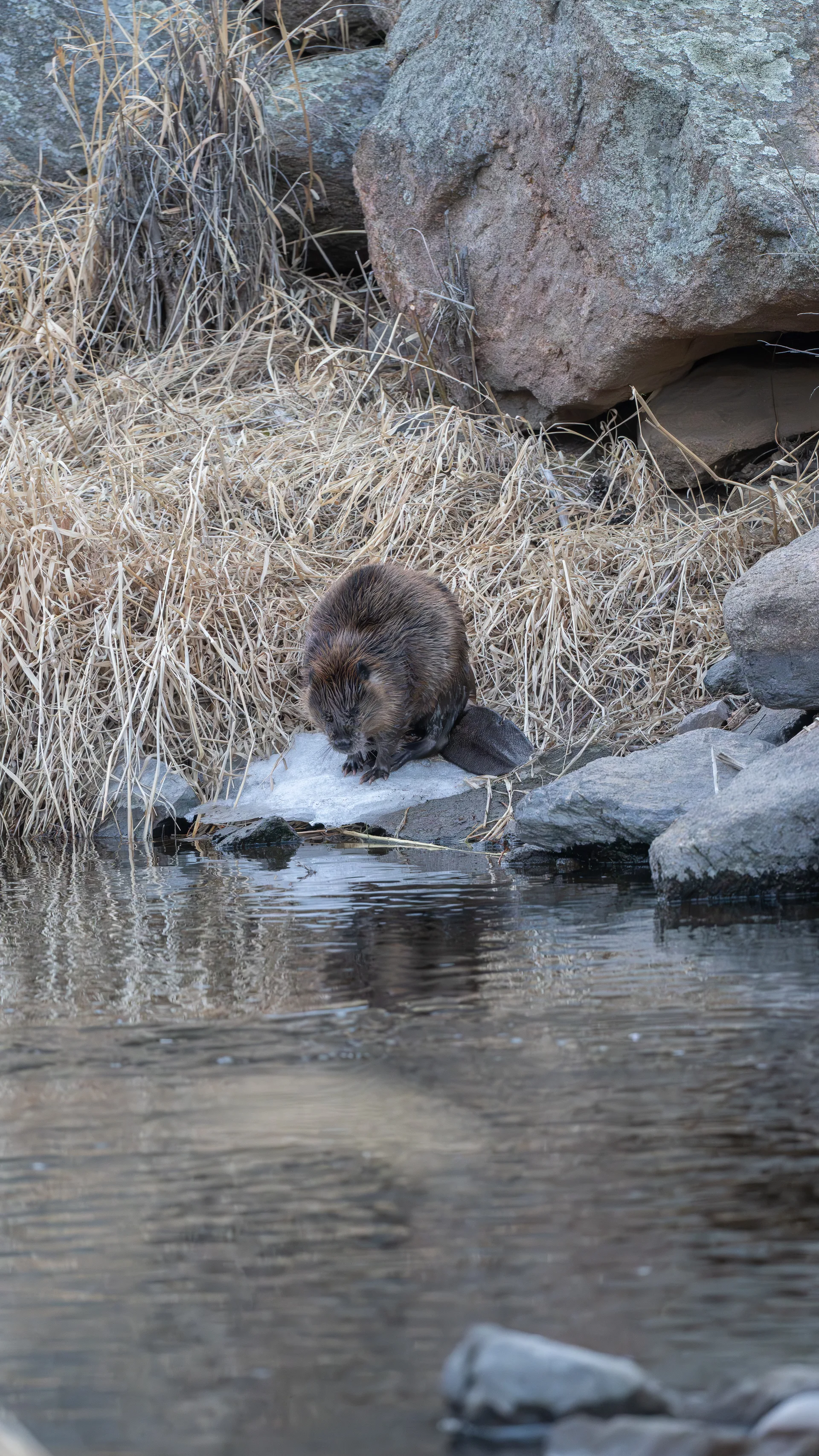 Photograph at Colorado
