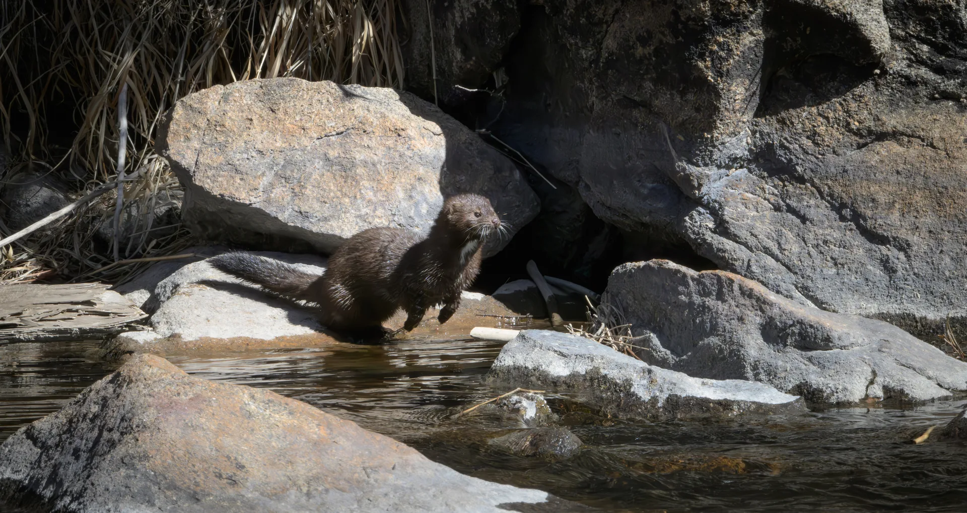 Photograph at Colorado