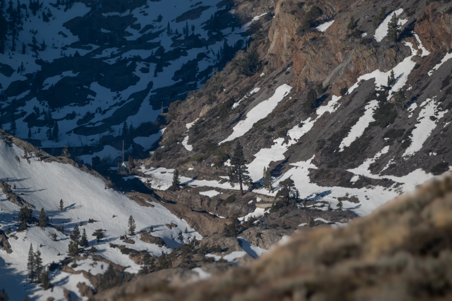 Photograph at June Lake