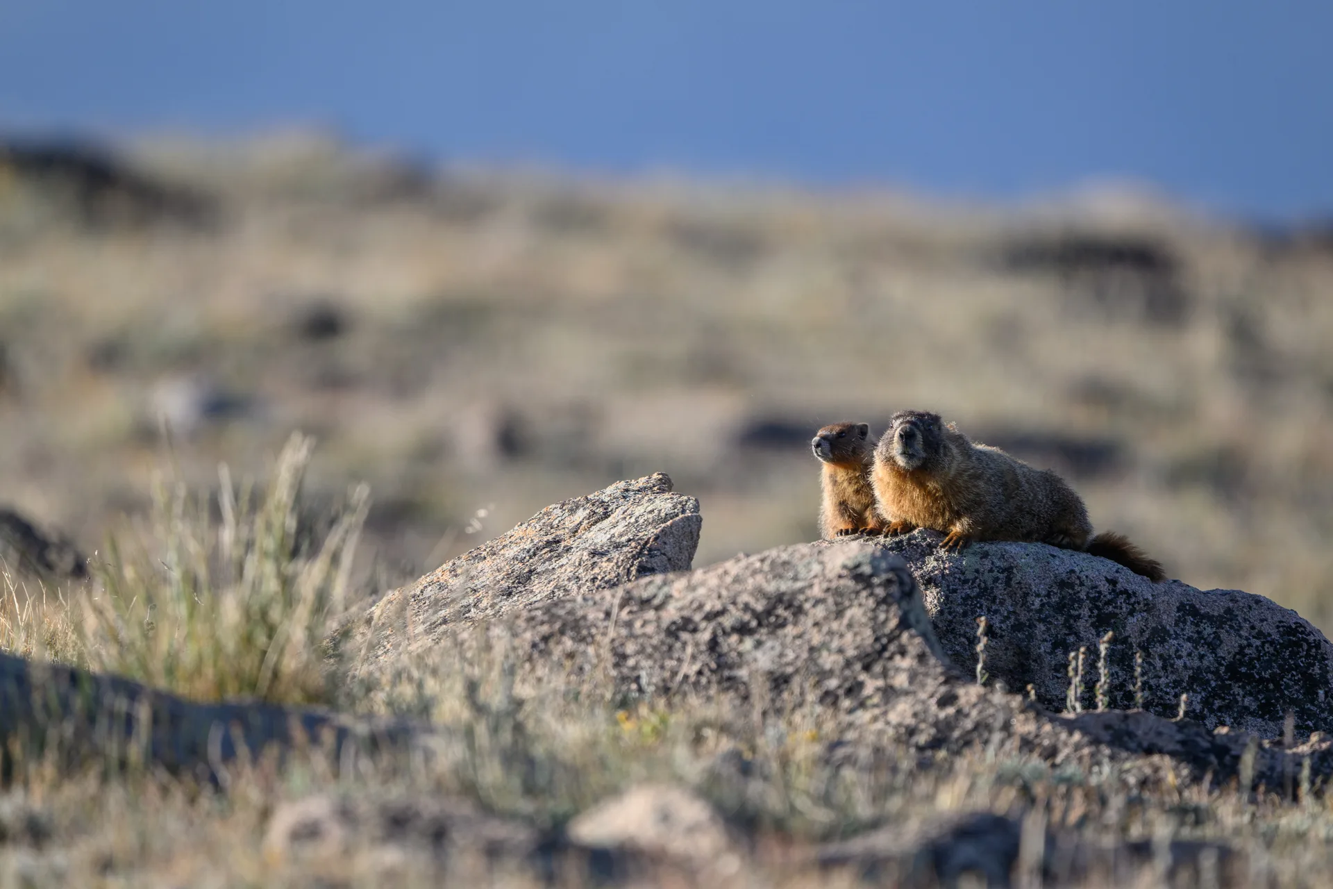 Photograph at Rocky Mountain