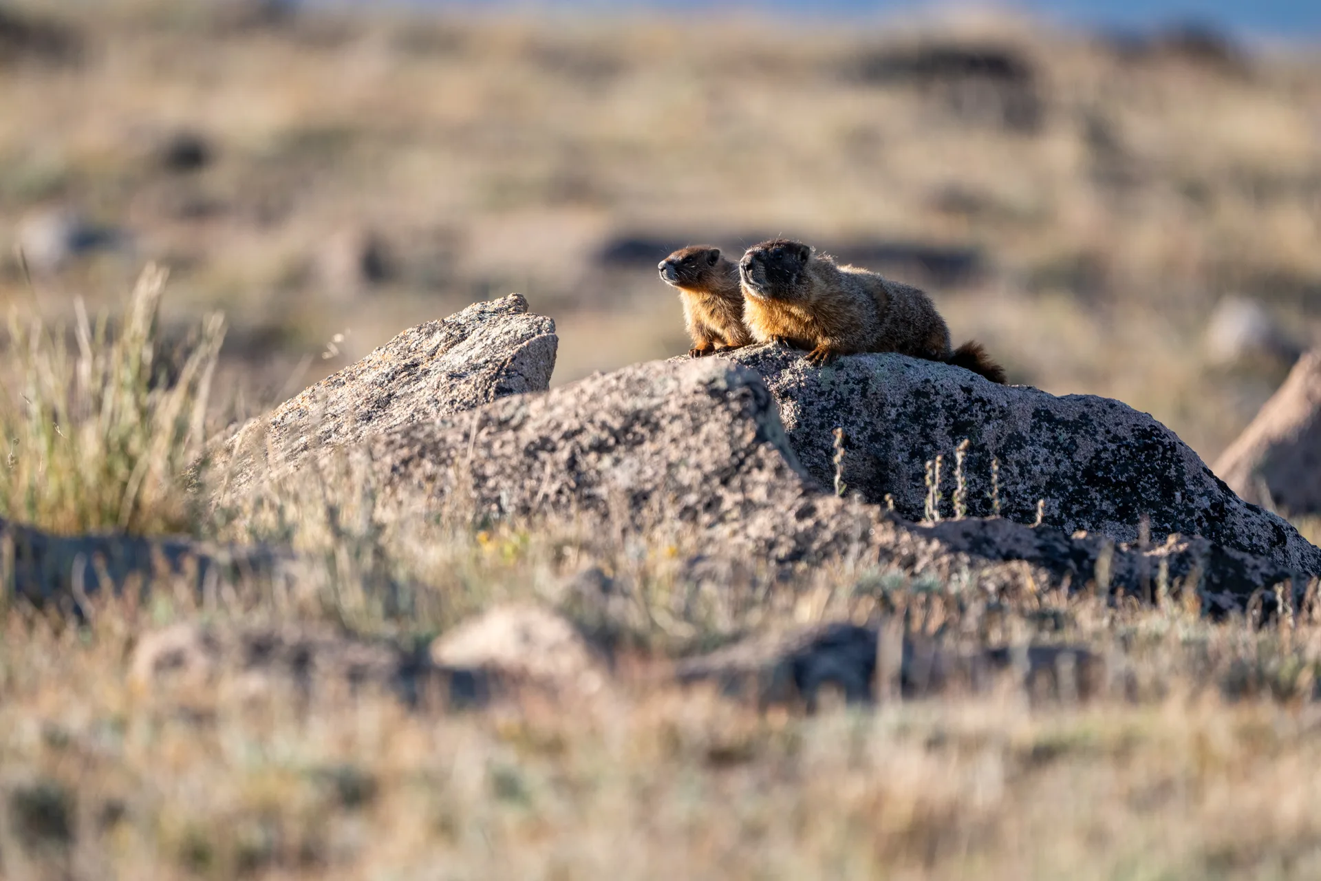 Photograph at Rocky Mountain